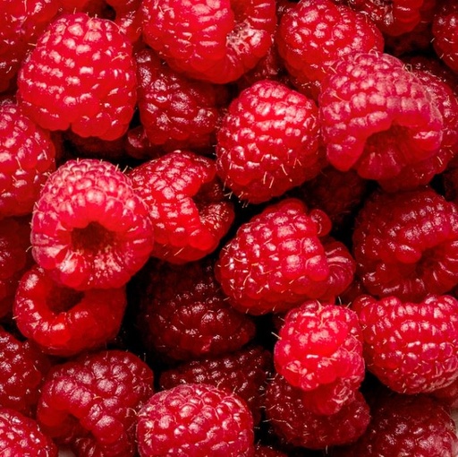 Sorbet Framboises 500ml